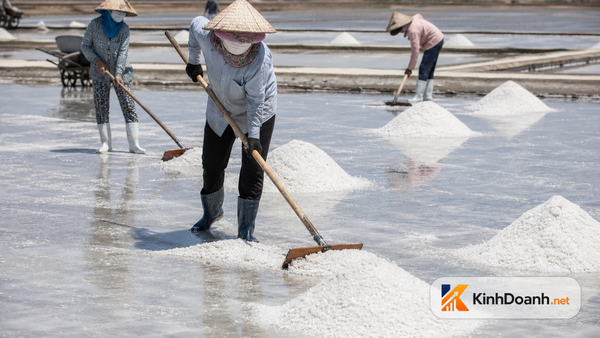 Người buôn muối Bạc Liêu: hạt muối nhỏ nhưng lời lỗ nằm ở nắng, kho và đường chở